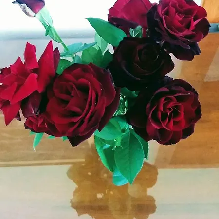 Landhuis The Camp Montijo