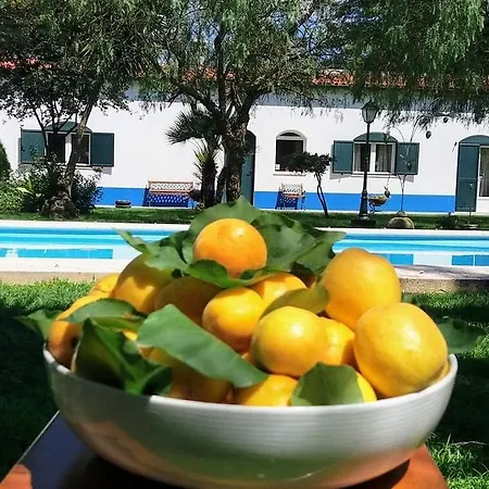 Landhuis The Camp Montijo